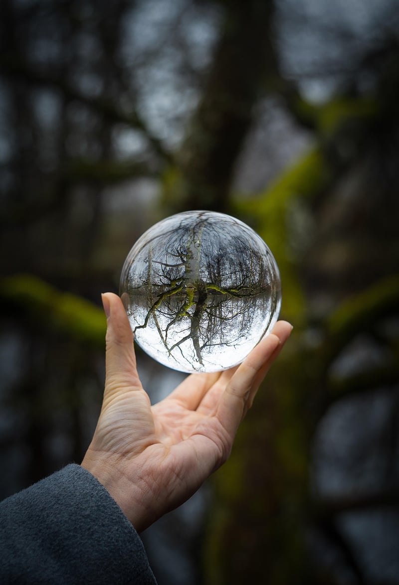 Crystal Ball Readers